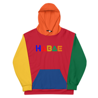 HABAE Oldschool Colorblock Unisex Hoodie