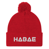 HABAE Pom-Pom Beanie