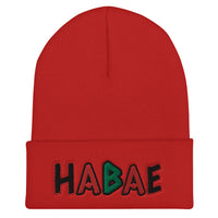 HABAE Brand African-Inspired Cuffed Beanie