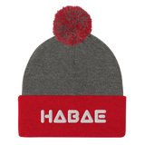 HABAE Pom-Pom Beanie