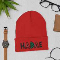 HABAE Brand African-Inspired Cuffed Beanie